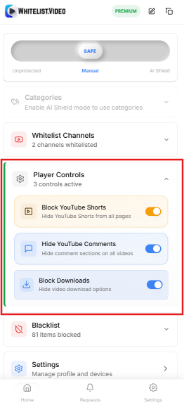 Player Controls section expanded showing all toggles